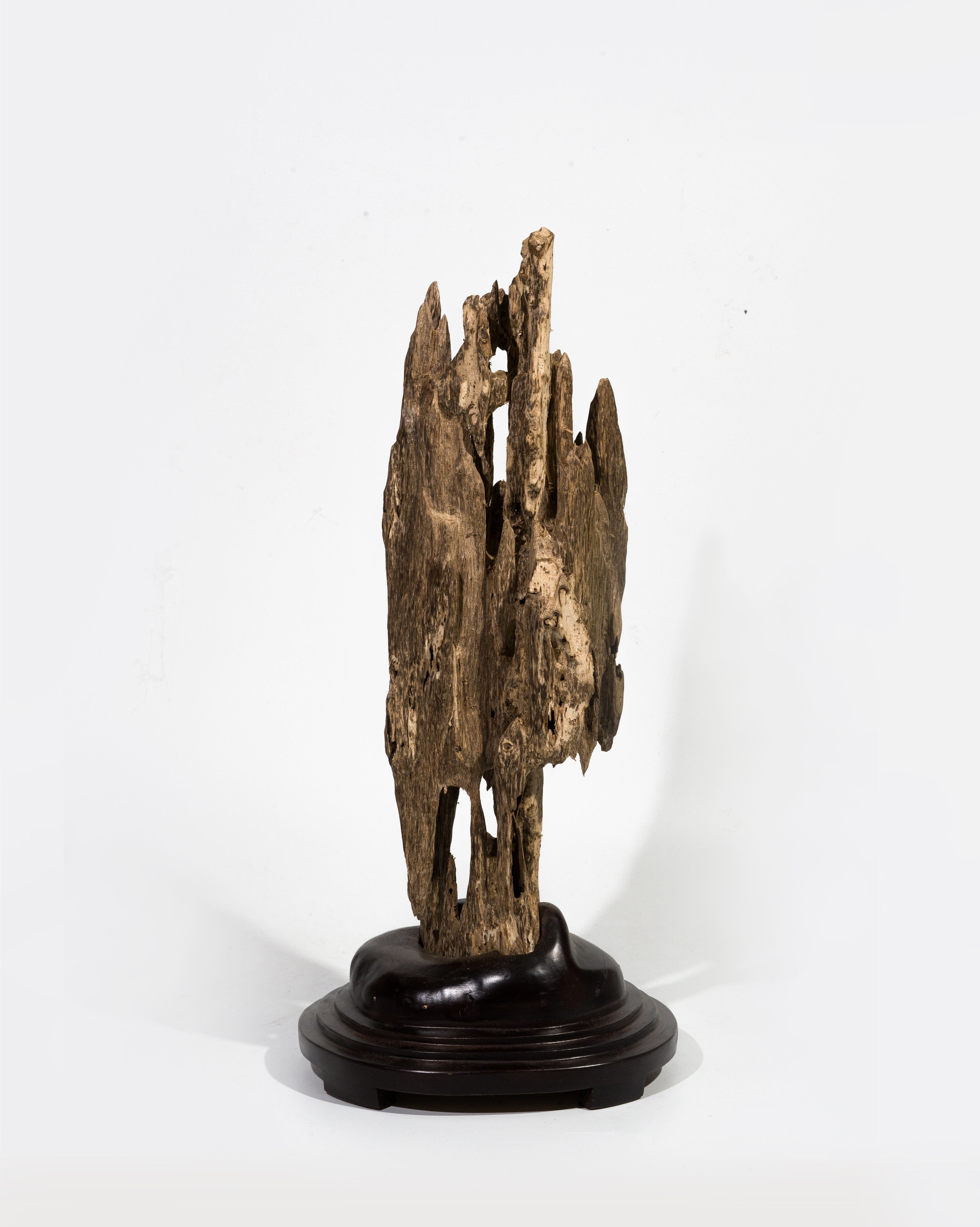 Mini Natural Agarwood Sculpture – Desk Display Oud – Wild Unique Form 42cm